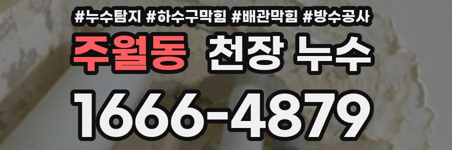 주월동 천장 누수