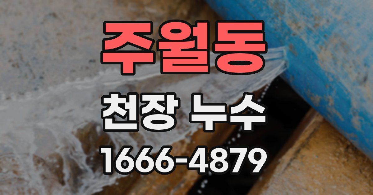 주월동 천장 누수