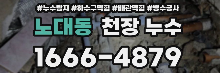 노대동 천장 누수