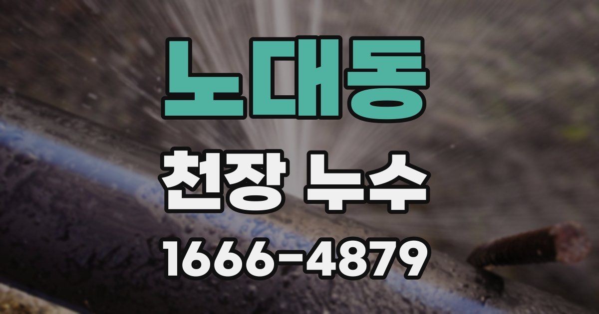 노대동 천장 누수