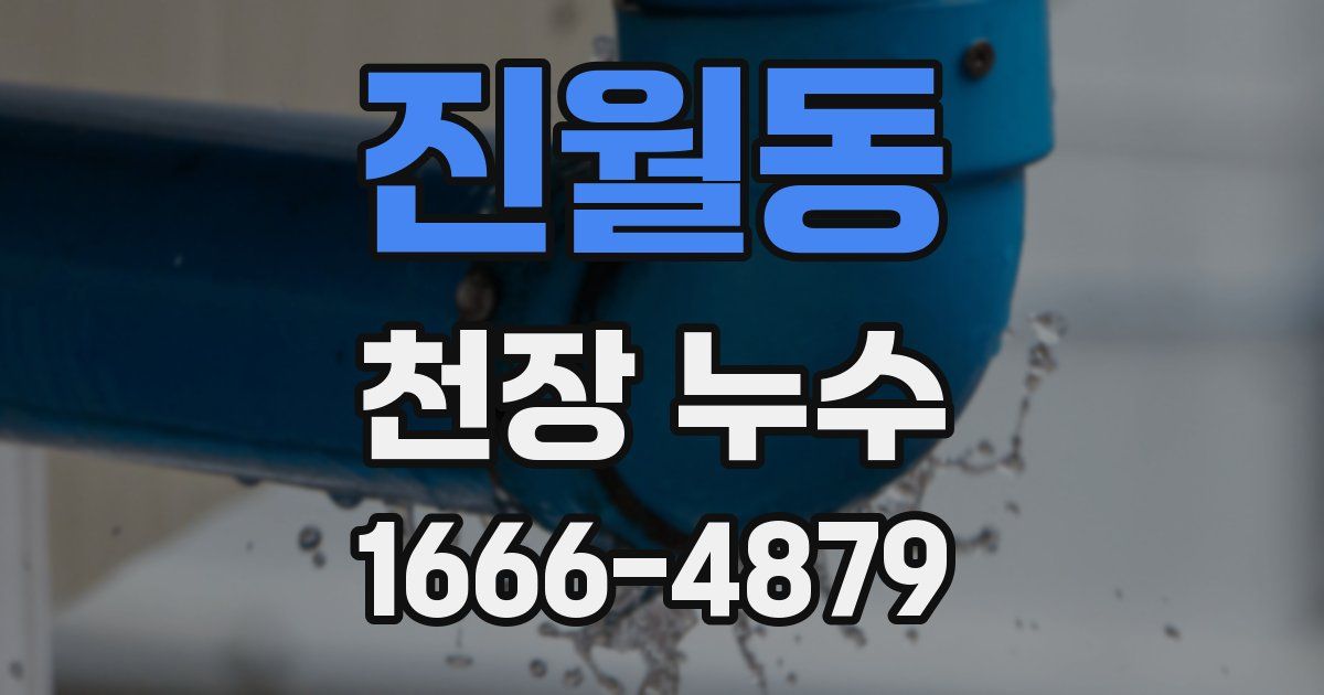 진월동 천장 누수