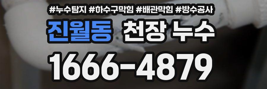 진월동 천장 누수