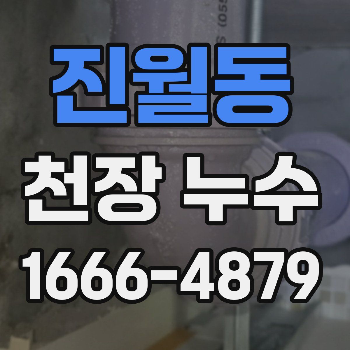 진월동 천장 누수