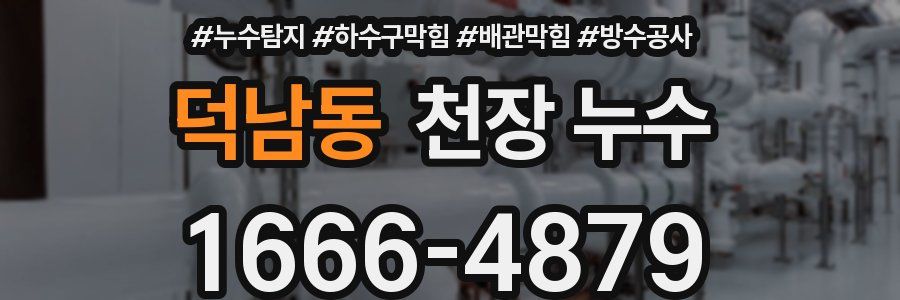 덕남동 천장 누수