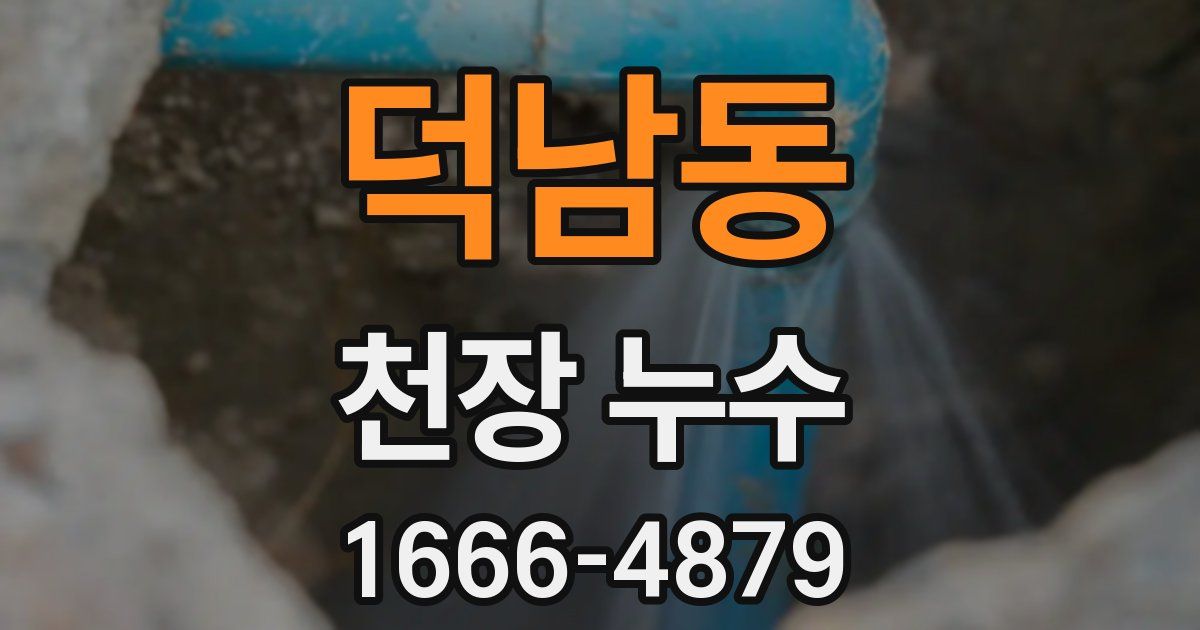 덕남동 천장 누수