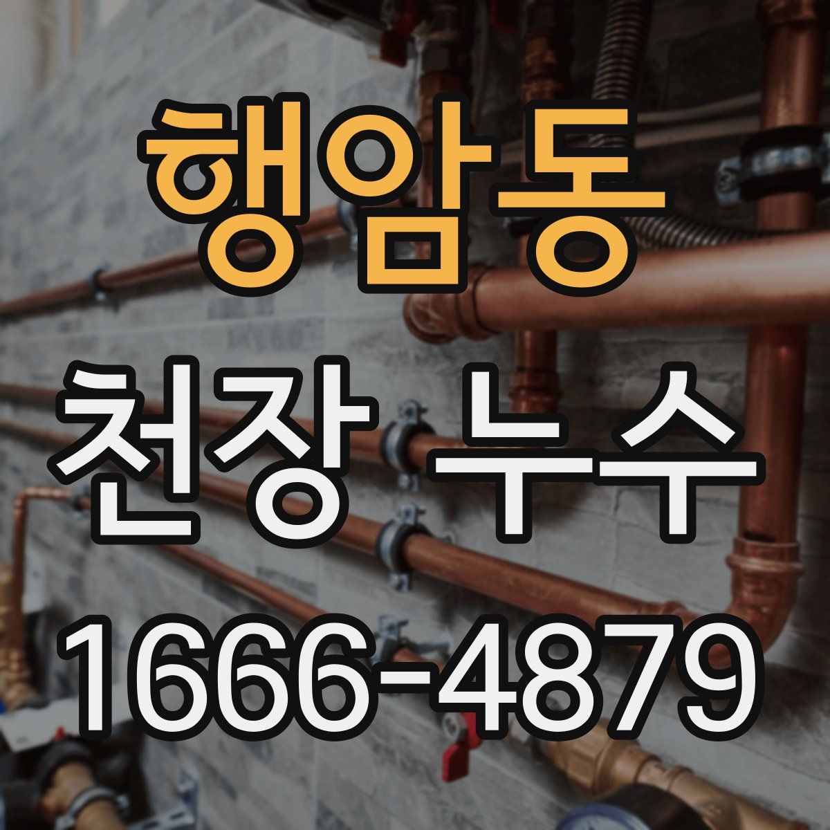 행암동 천장 누수
