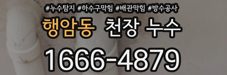 행암동 천장 누수