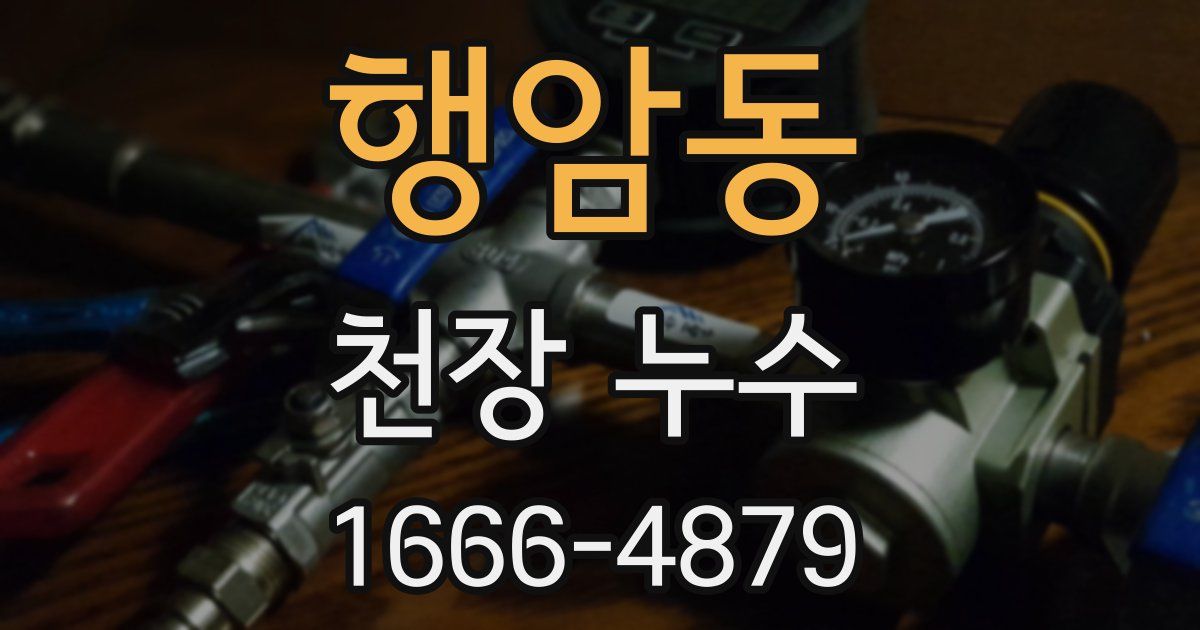 행암동 천장 누수