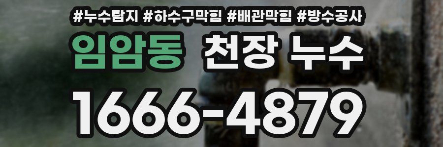 임암동 천장 누수