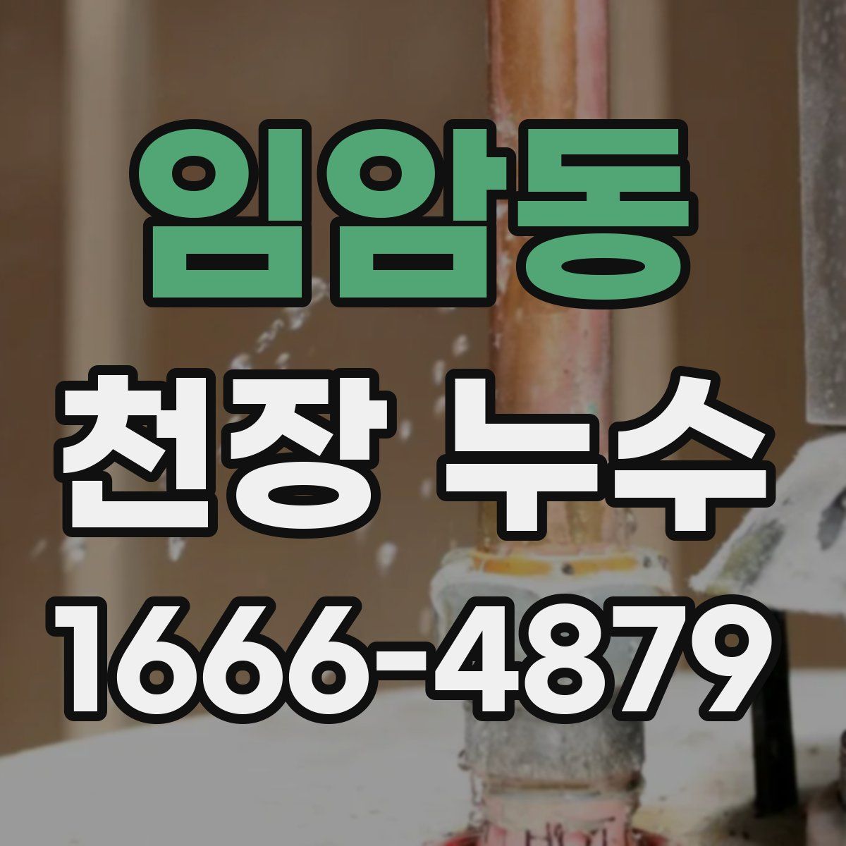 임암동 천장 누수