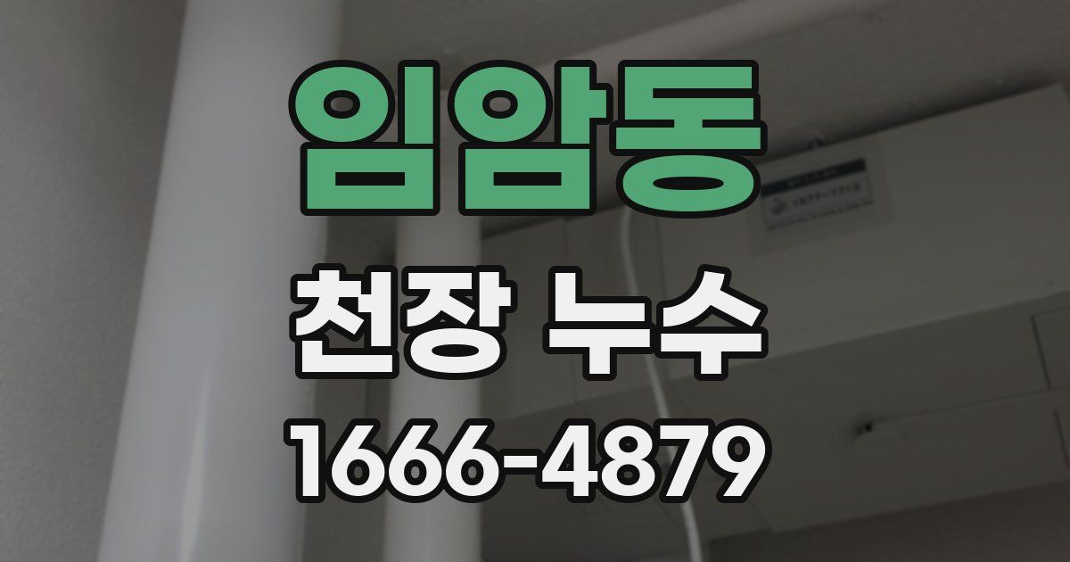 임암동 천장 누수