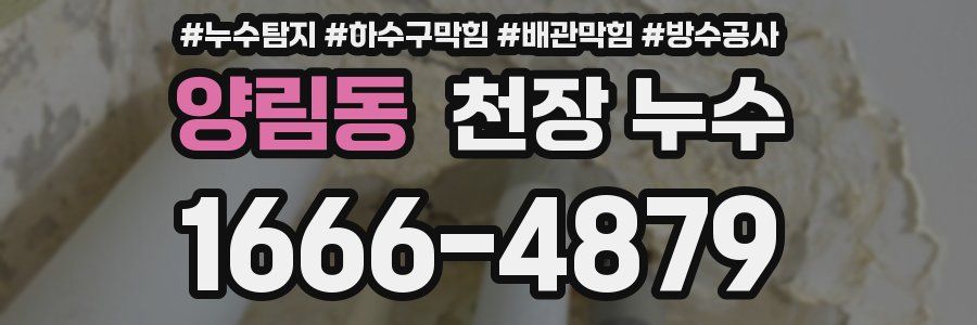 양림동 천장 누수
