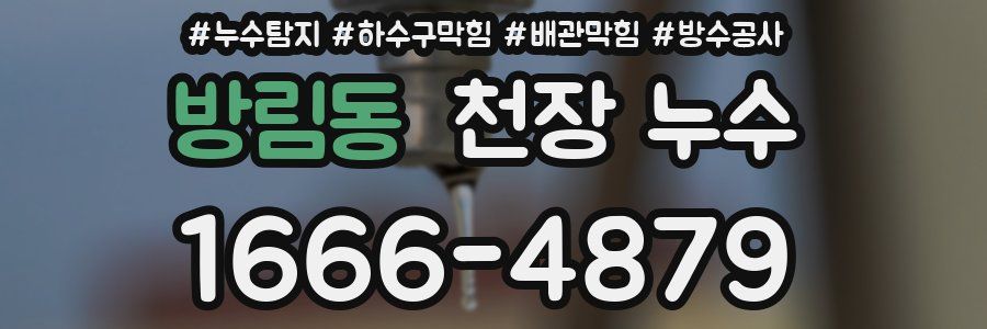 방림동 천장 누수