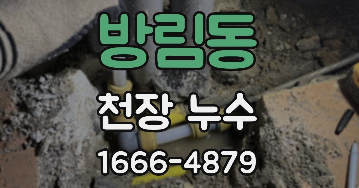 방림동 천장 누수