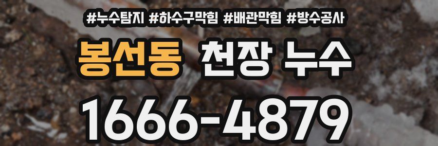 봉선동 천장 누수