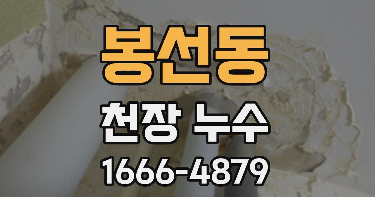 봉선동 천장 누수
