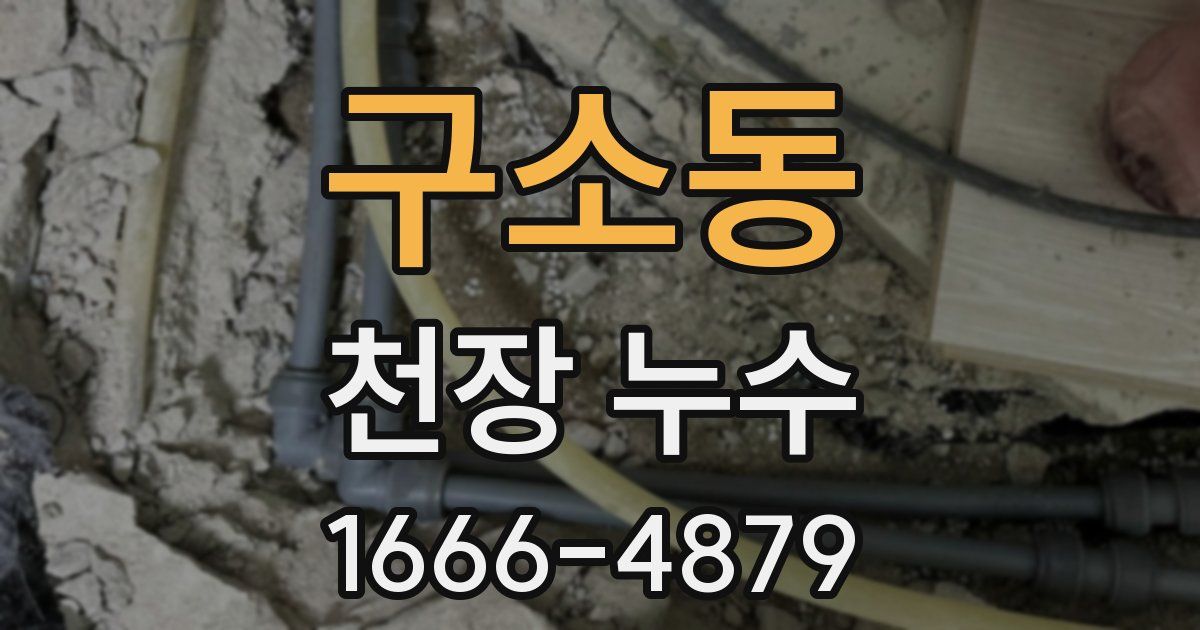 구소동 천장 누수