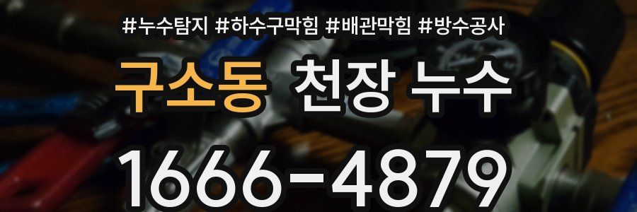 구소동 천장 누수