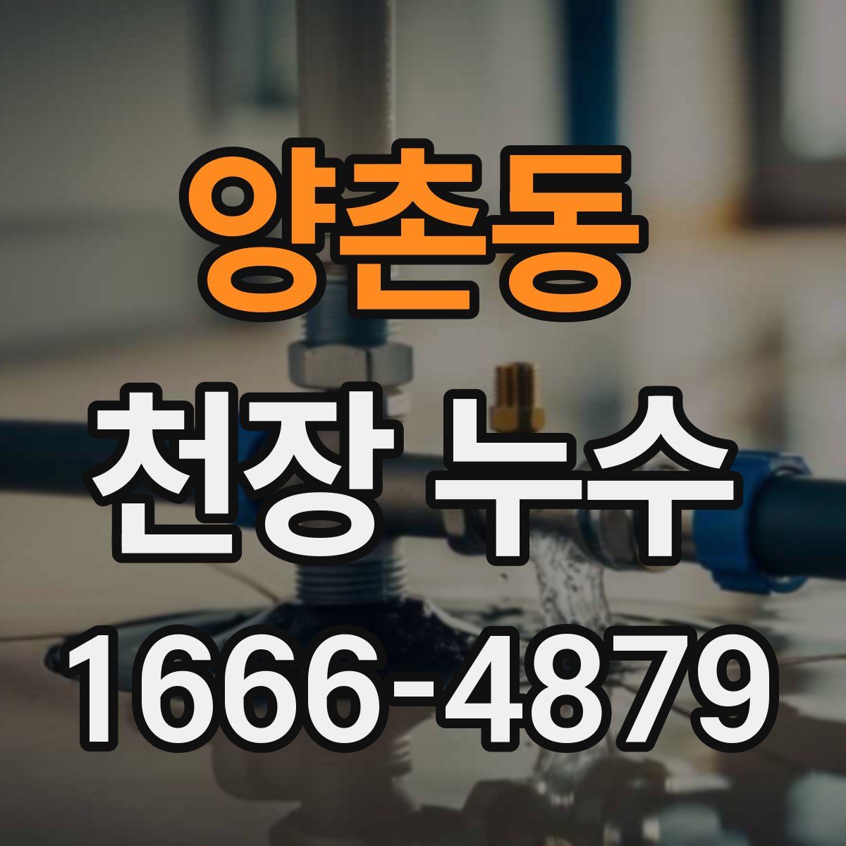 양촌동 천장 누수