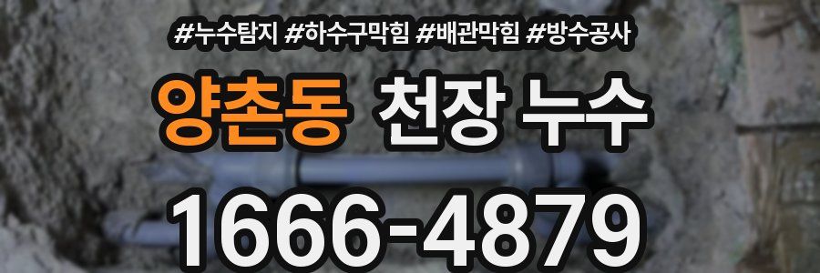 양촌동 천장 누수