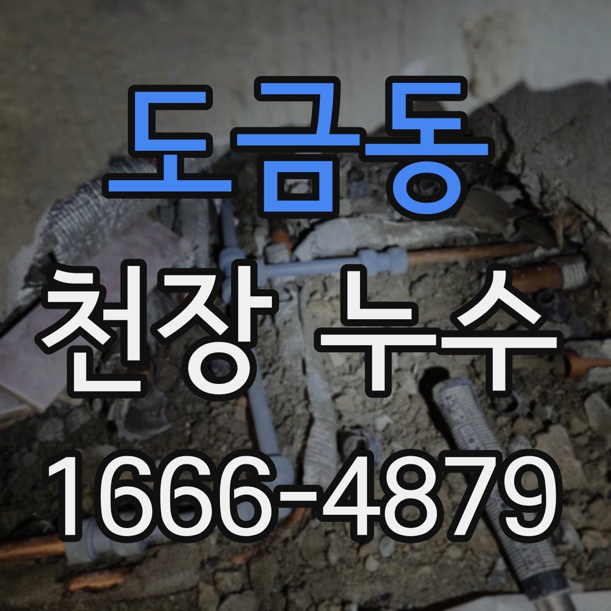 도금동 천장 누수