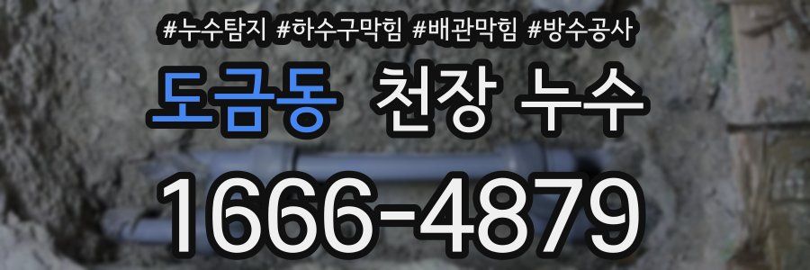 도금동 천장 누수