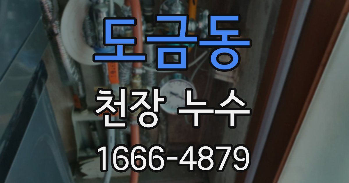 도금동 천장 누수