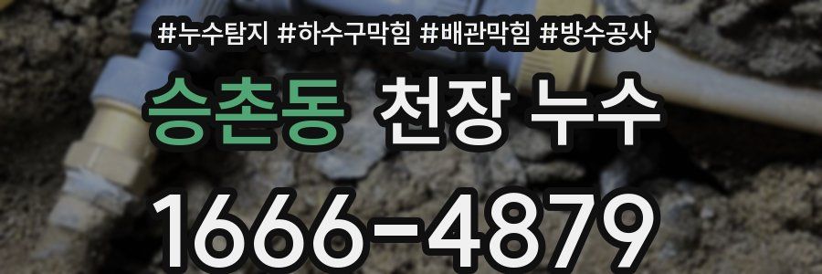 승촌동 천장 누수