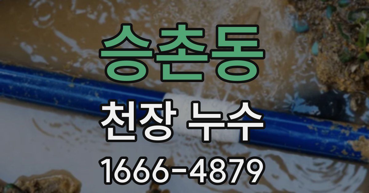 승촌동 천장 누수