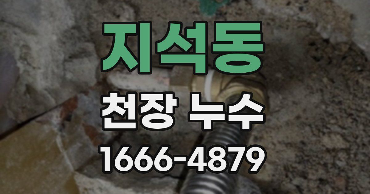 지석동 천장 누수