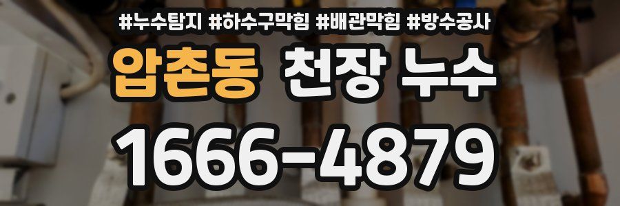 압촌동 천장 누수