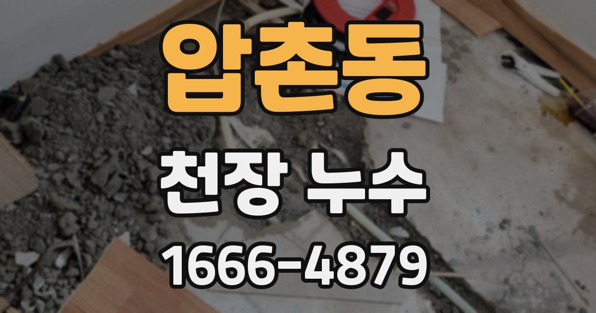 압촌동 천장 누수