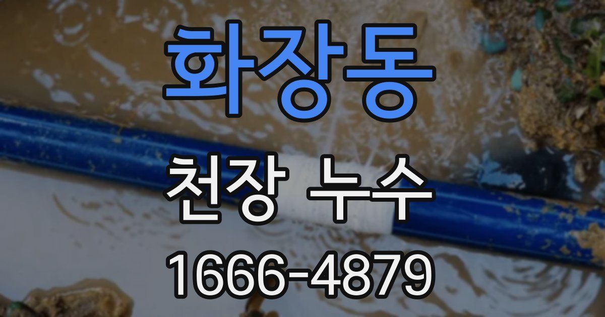 화장동 천장 누수