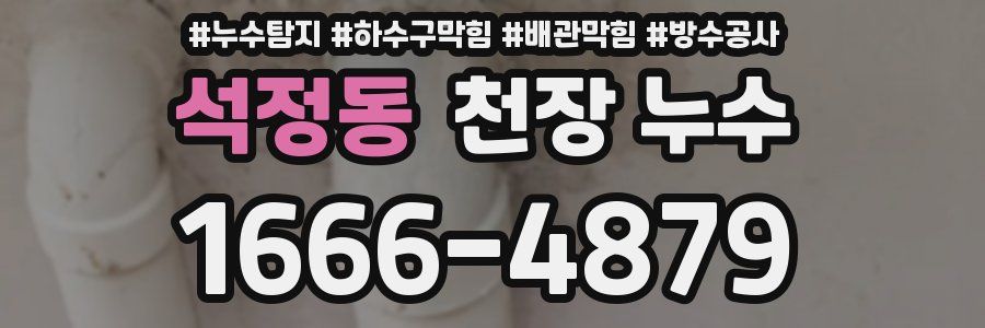석정동 천장 누수