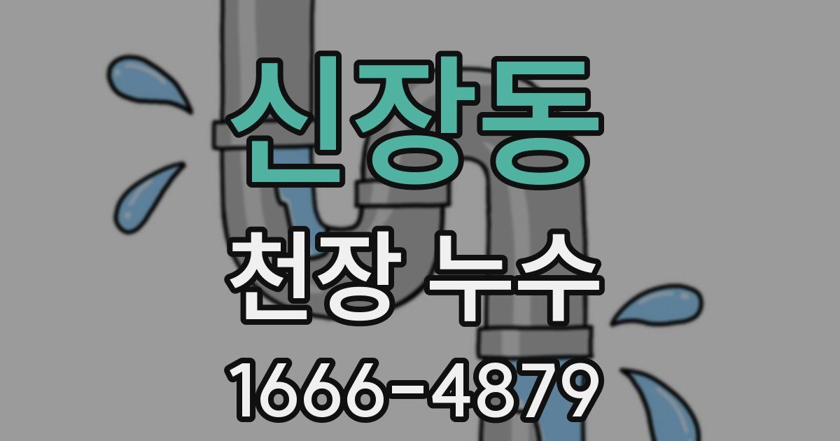 신장동 천장 누수