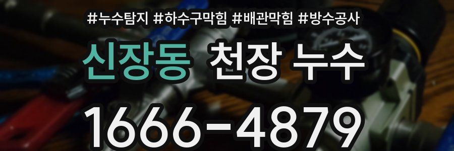 신장동 천장 누수