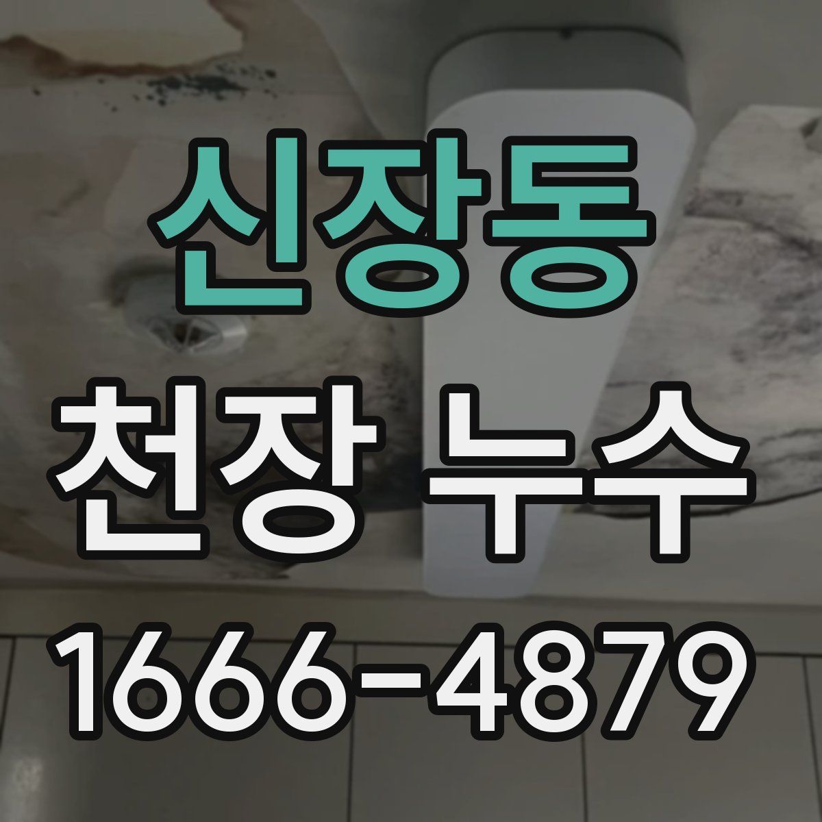 신장동 천장 누수