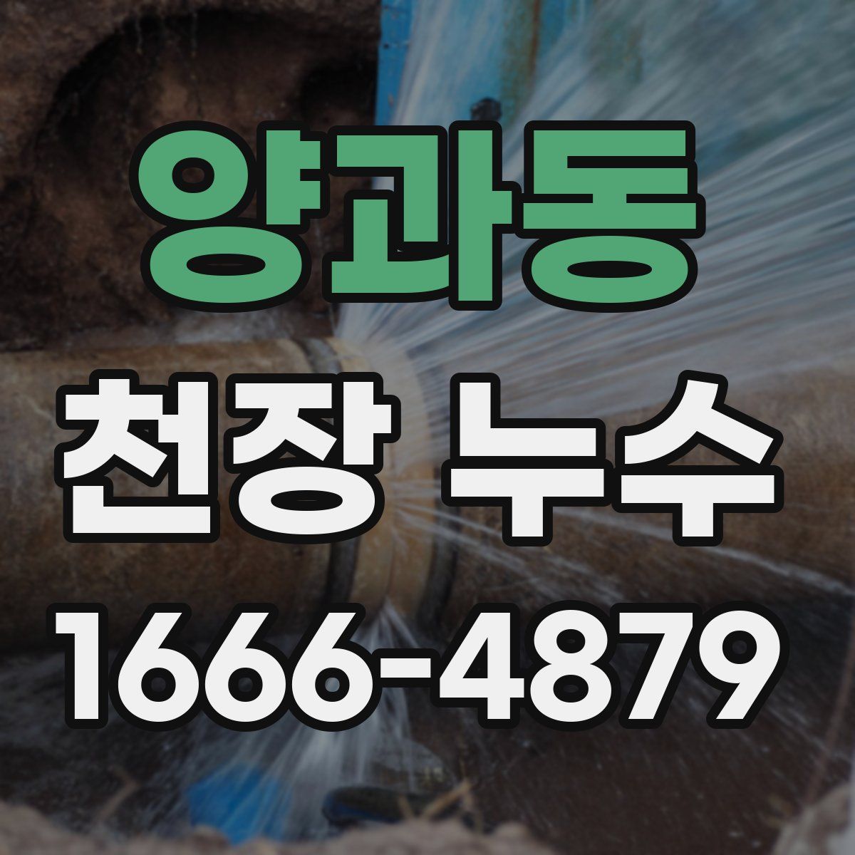 양과동 천장 누수