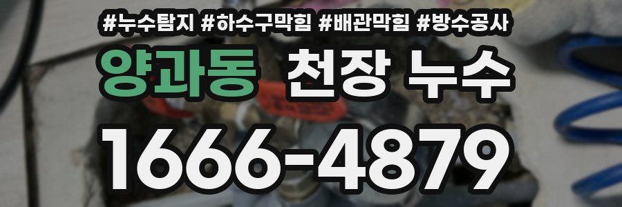 양과동 천장 누수