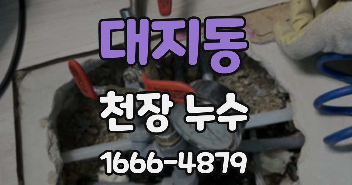대지동 천장 누수