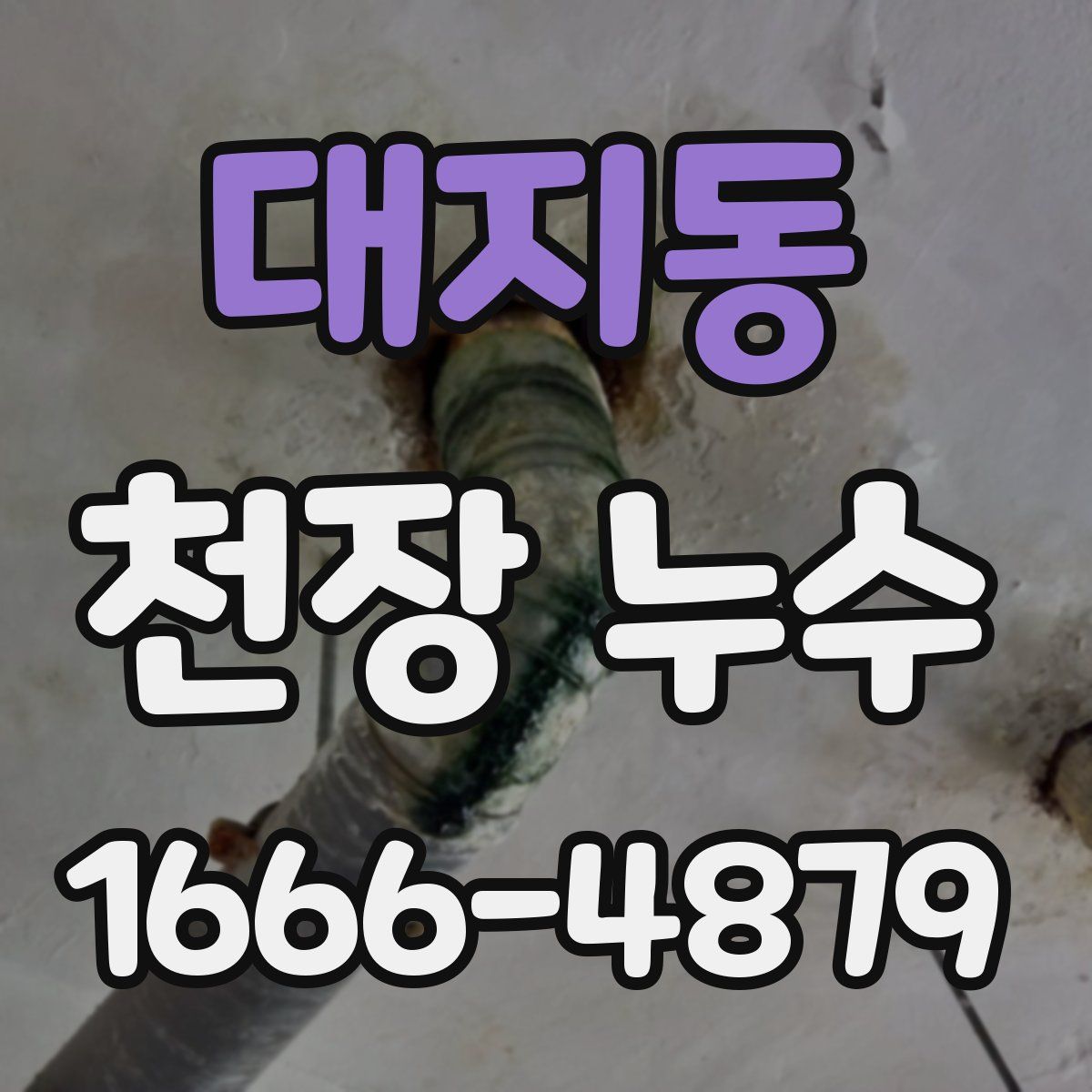 대지동 천장 누수