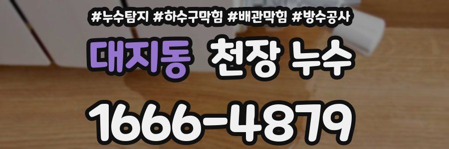 대지동 천장 누수