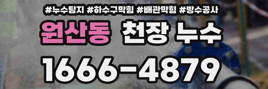 원산동 천장 누수