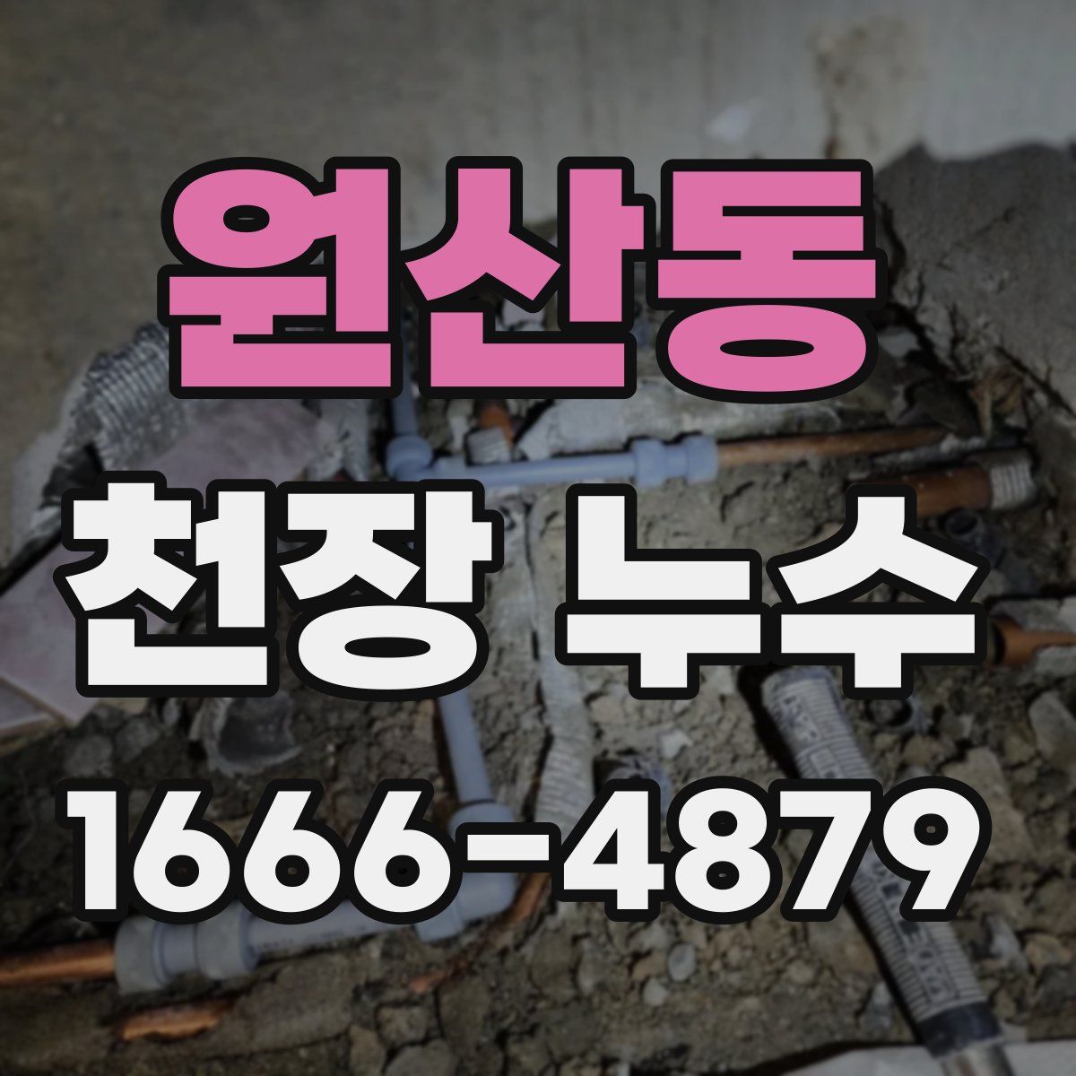 원산동 천장 누수