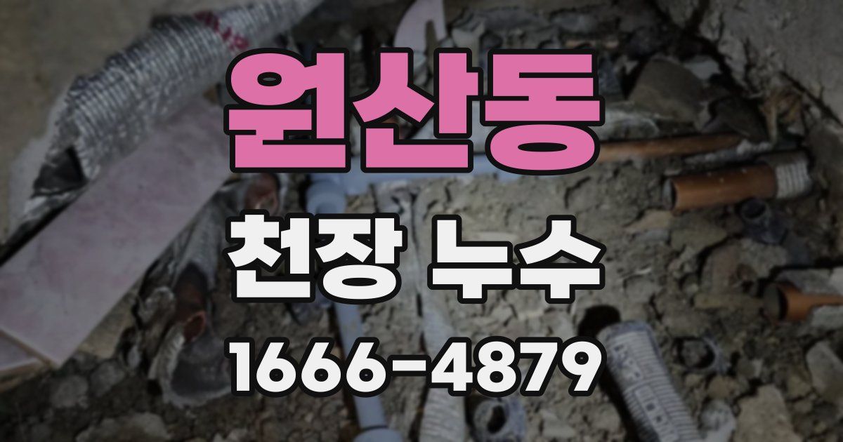 원산동 천장 누수