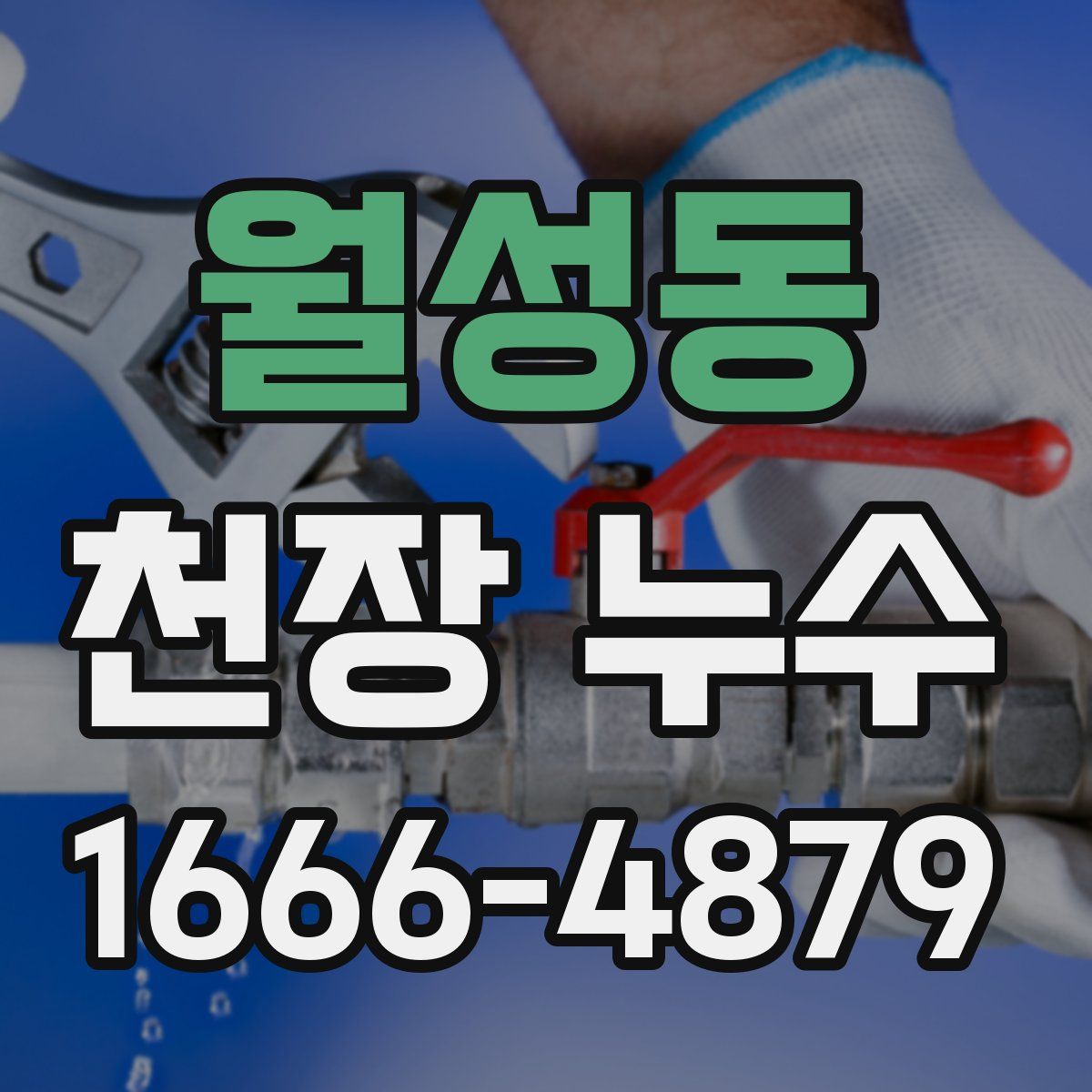 월성동 천장 누수