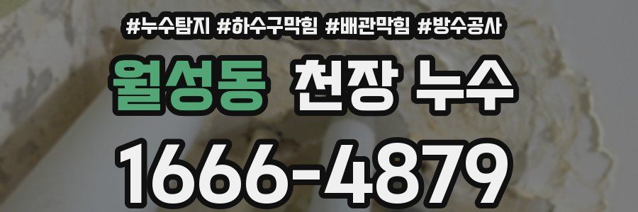 월성동 천장 누수