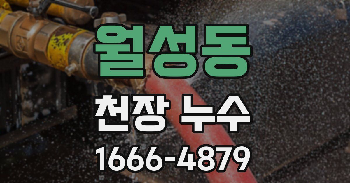 월성동 천장 누수