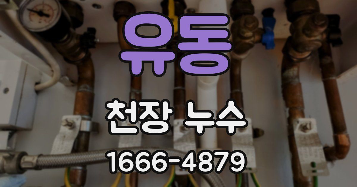 유동 천장 누수