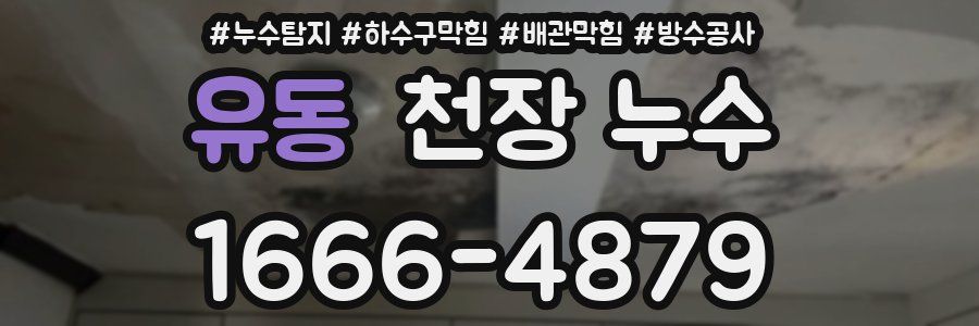 유동 천장 누수